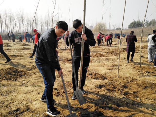 临沂新华参加义务植树活动 第 1 张 临沂新华参加义务植树活动 第 1 张